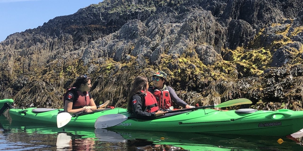 group of people kayaking near seaweed